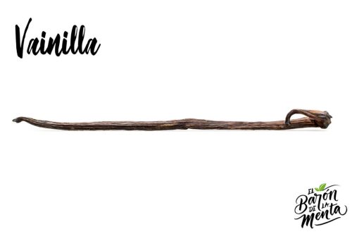vainilla
